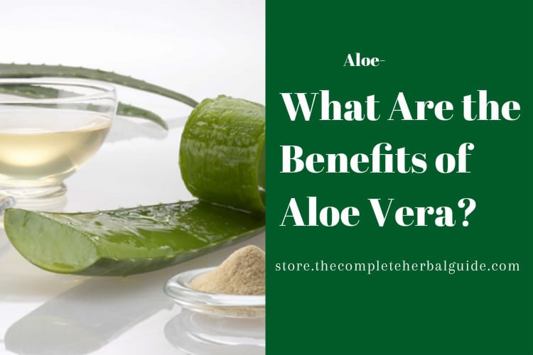 What Are the Benefits of Aloe Vera?
